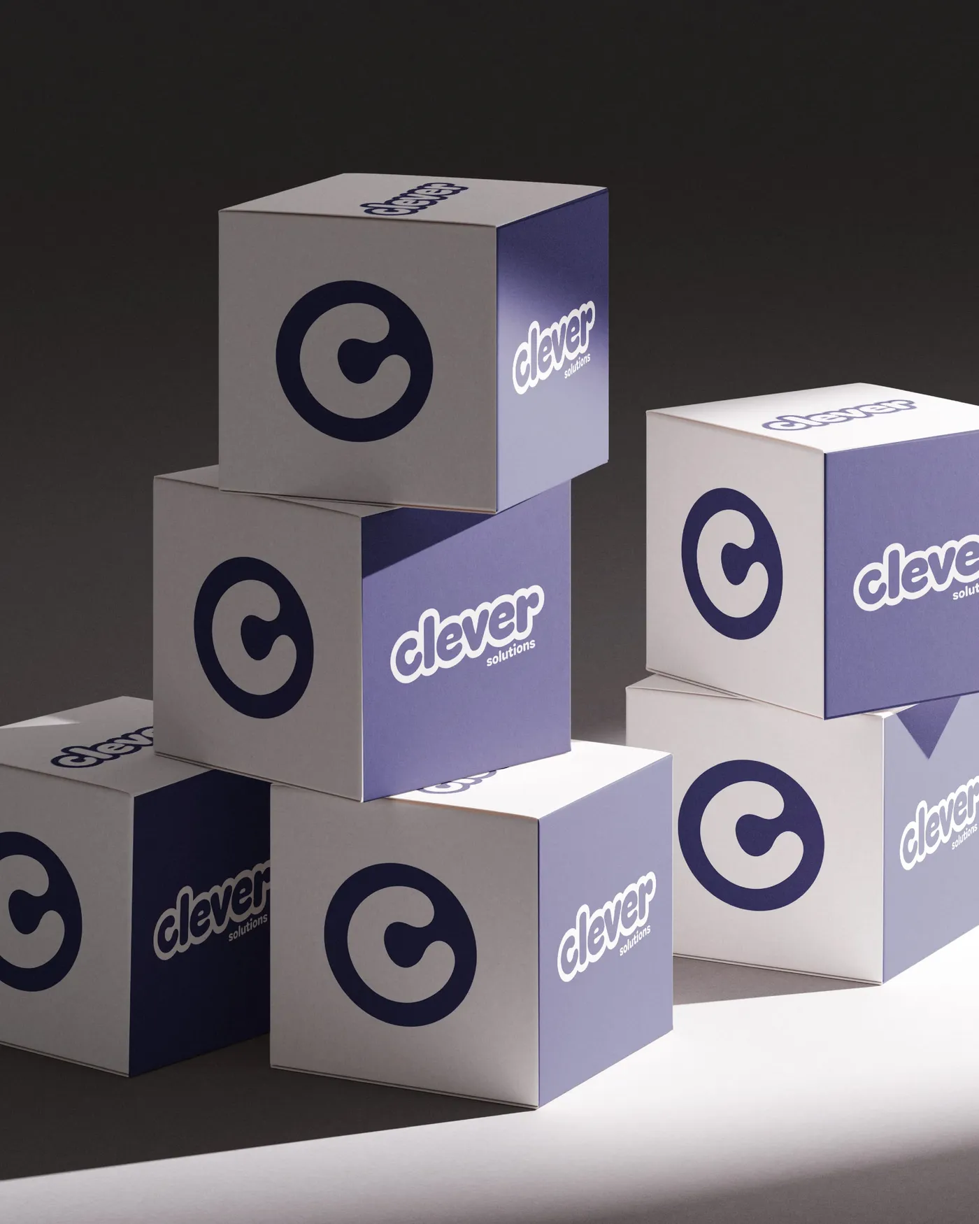 Clever Solutions: Logo